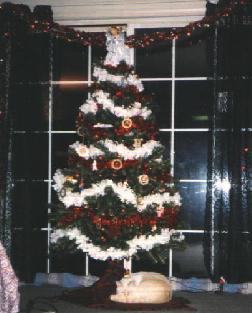 Poodie under the Christmas Tree